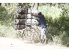 Charcoal trade on the rise despite clean energy push