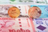 Tanzanian shilling strengthens to become world’s top-performing currency