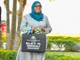 Zanzibar unveils Sh3.2 trillion development blueprint