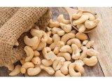 Cashew processors call for incentives to boost value addition