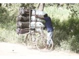 Charcoal trade on the rise despite clean energy push