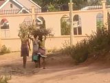 Mwanza: How firewood use and climate change drive school absenteeism