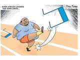 editoon 16