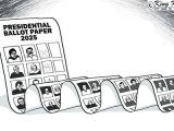 Edtoon 15