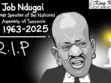 edtoon 8