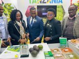 Tanzanian firms display fresh produce in global trade fair