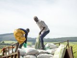 Why Tanzania’s fertiliser hub dream is closer to reality