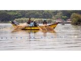 Fisheries: Can innovative financing unlock blue economy potential?