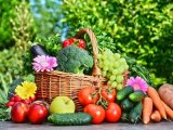 Private sector lobby hails Tanzania’s $2 billion horticulture export target