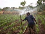 Why and how Tanzania can lead Africa’s irrigation drive