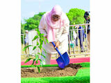 Focus on green urban planning, Samia tells surveying authorities