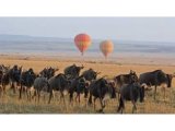 US investors mull IPO for five-star hotel near Serengeti National Park