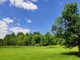 Open spaces, trees can help to reduce hypertension in urban areas