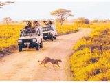 Beyond the final whistle: Tanzania’s tourism goals for AFCON 27