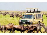 Tanzania’s tourism industry defies election protests as visitor numbers surge