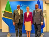 Tanzania now seeks deeper strategic ties with European Union