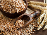 Government moves to ramp up wheat production in Makete