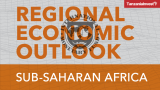 IMF Projects Tanzania GDP to Grow by 6% in 2025 and 6.3% in 2026, Inflation to Remain Within 3.5%
