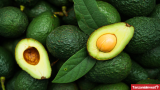 Tanzania Launches 2025/2026 Avocado Buying Season in Njombe Region to Boost Exports and Farmer (…)